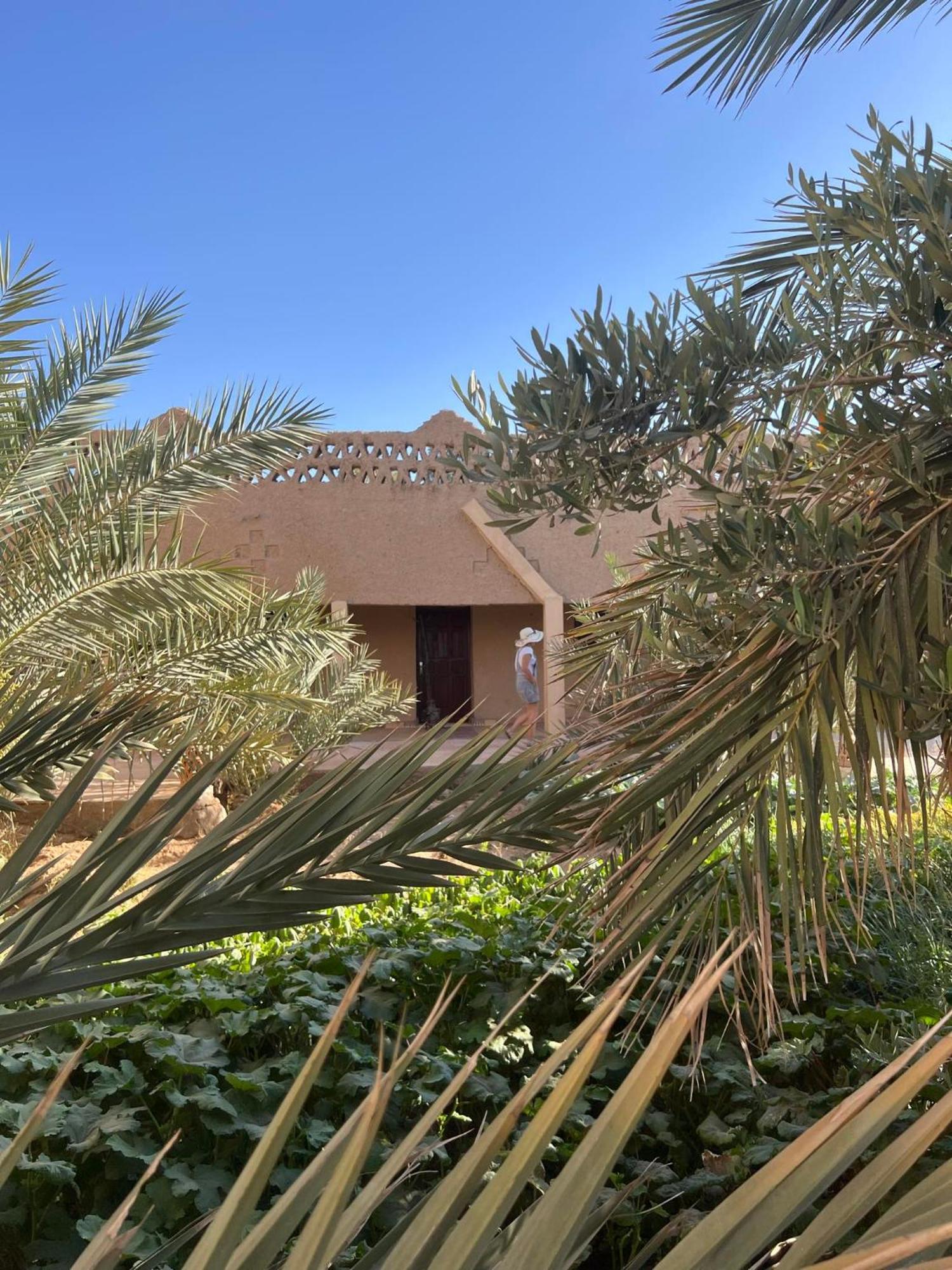 Sahara Sands Hotel 梅尔祖卡 外观 照片